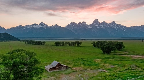 The acre seems endless.