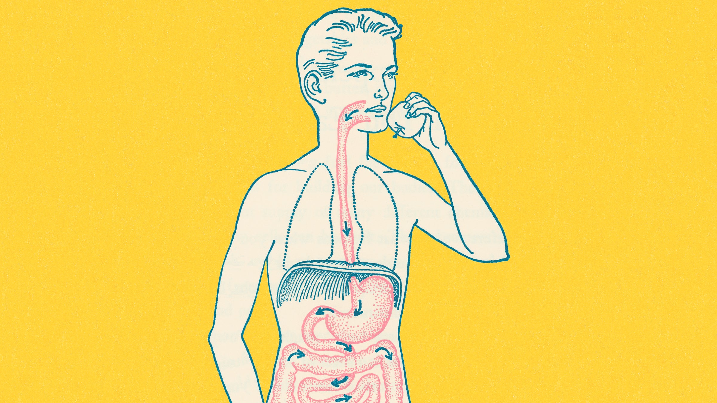 Your mom was more right than she knew when she told you 'You are what you eat.'