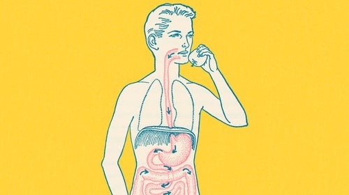 Your mom was more right than she knew when she told you 'You are what you eat.'