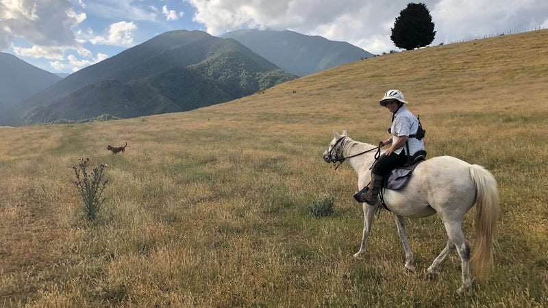 Horseback riding at Honeywell Hut.