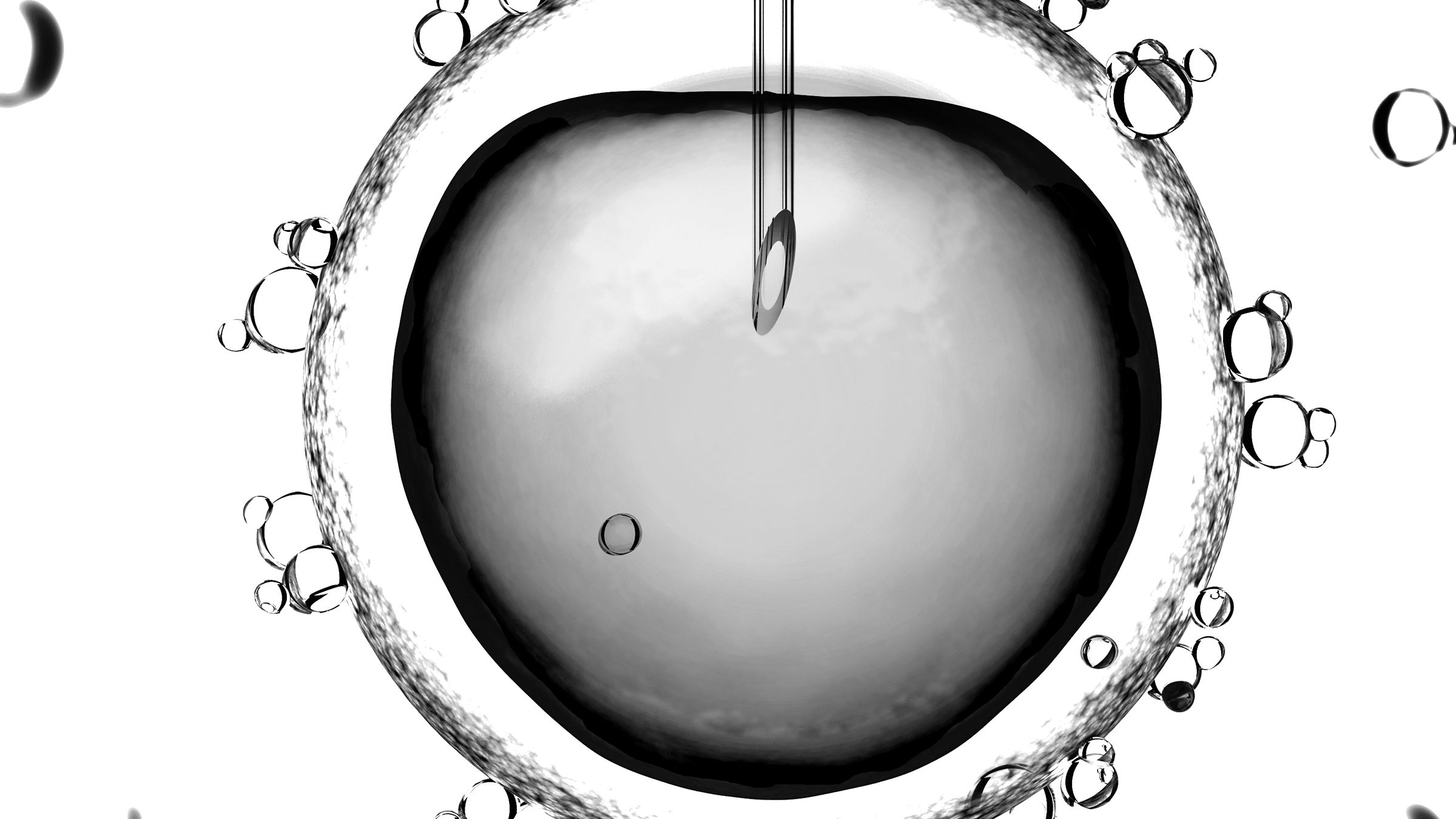 Stem cells have the ability to generate new cell types that can be used to repair or replace damaged tissue, which has long excited researchers interested in their medical potential.