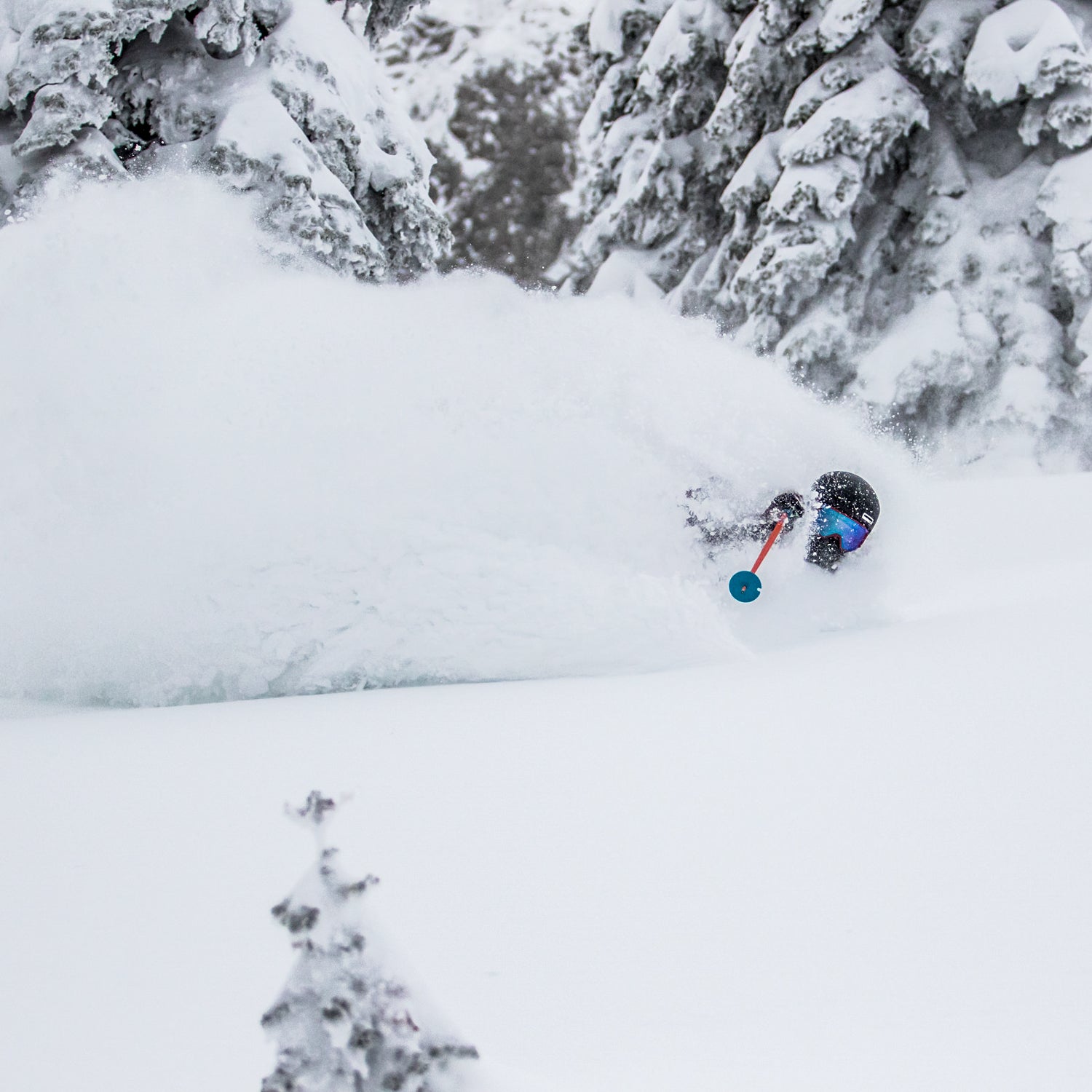 Chest deep at Fernie Alpine Resort, British Columbia