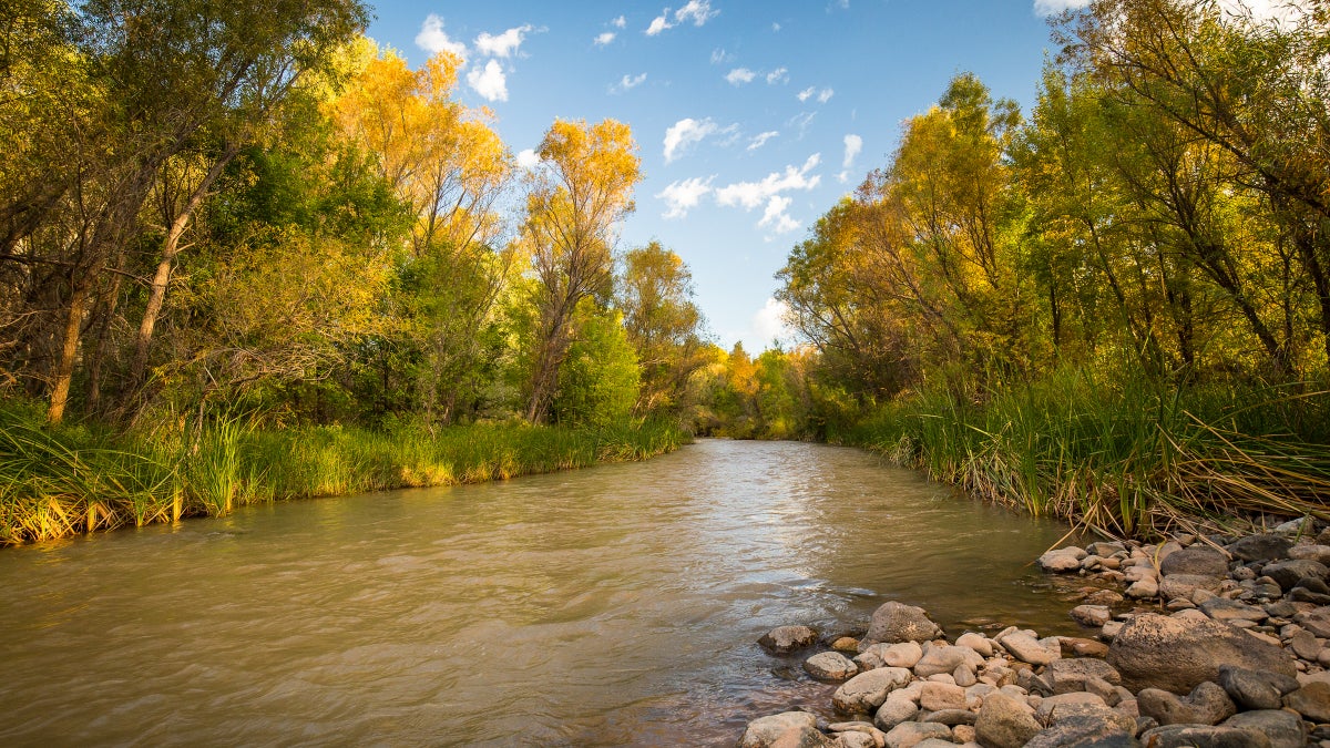 How Beer Will Save Western Rivers