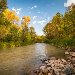 The Verde River in Arizona is a key tributary of the Lower Colorado River, which was named America’s Most Endangered River by American Rivers in 2017.