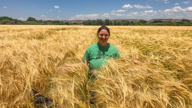 Kim Schonek in Hauser & Hauser Farms barley field.