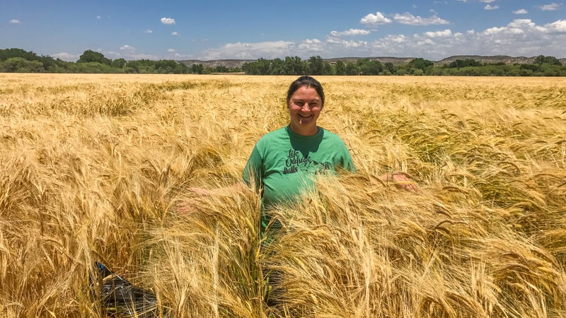 Kim Schonek in Hauser & Hauser Farms barley field.