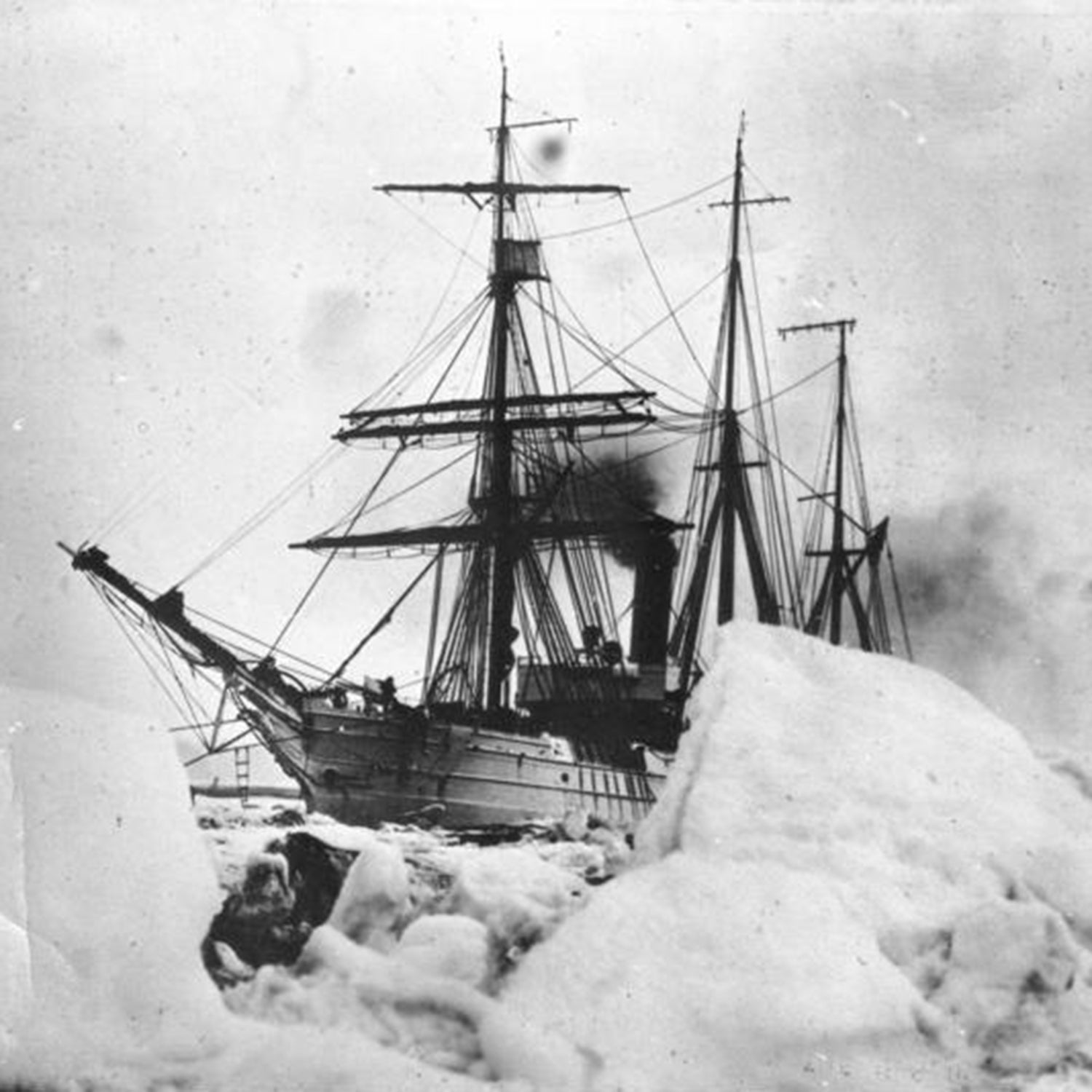 When Teens Just…Snuck onto Antarctic Expeditions