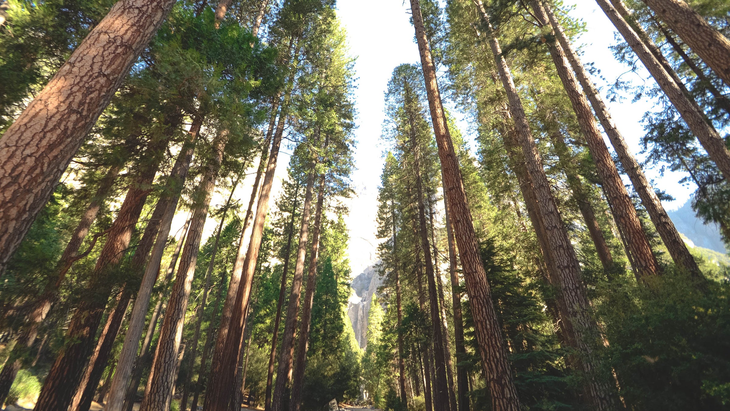 If the government shuts down, best call ahead before visiting any of our nation's parks.