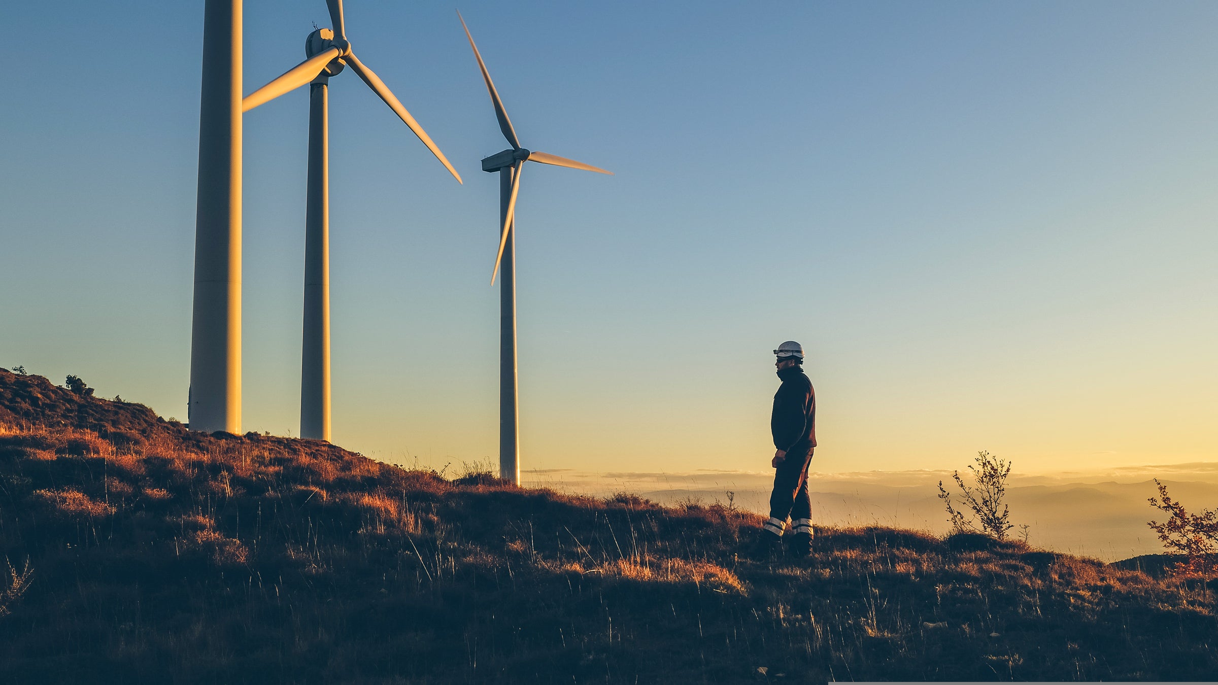 More than two-thirds of those who responded said that either solar or wind was their first choice of energy development in their state.