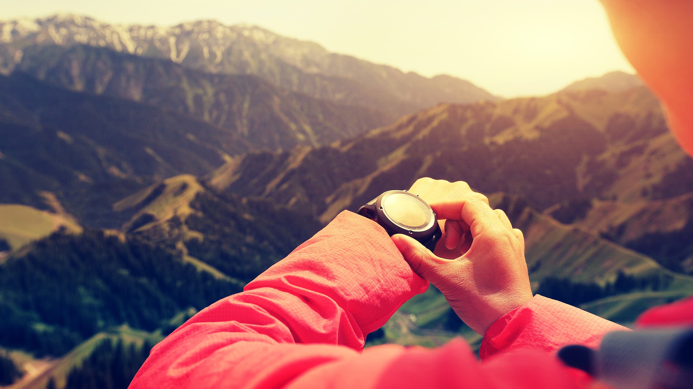 When, Exactly, to Schedule Your Workouts