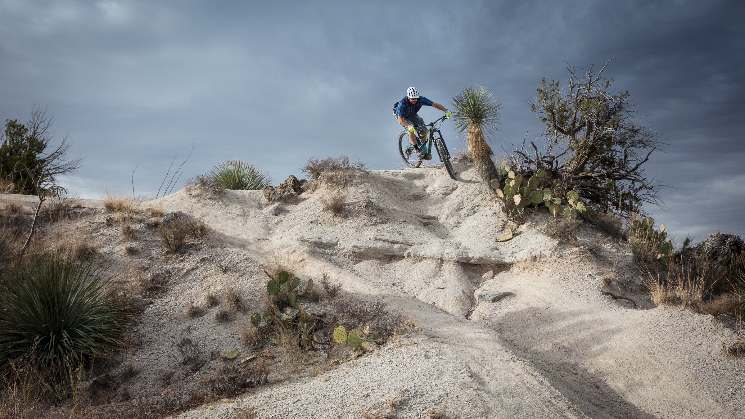 First Look Marin Wolf Ridge 9 Mountain Bike Outside Online