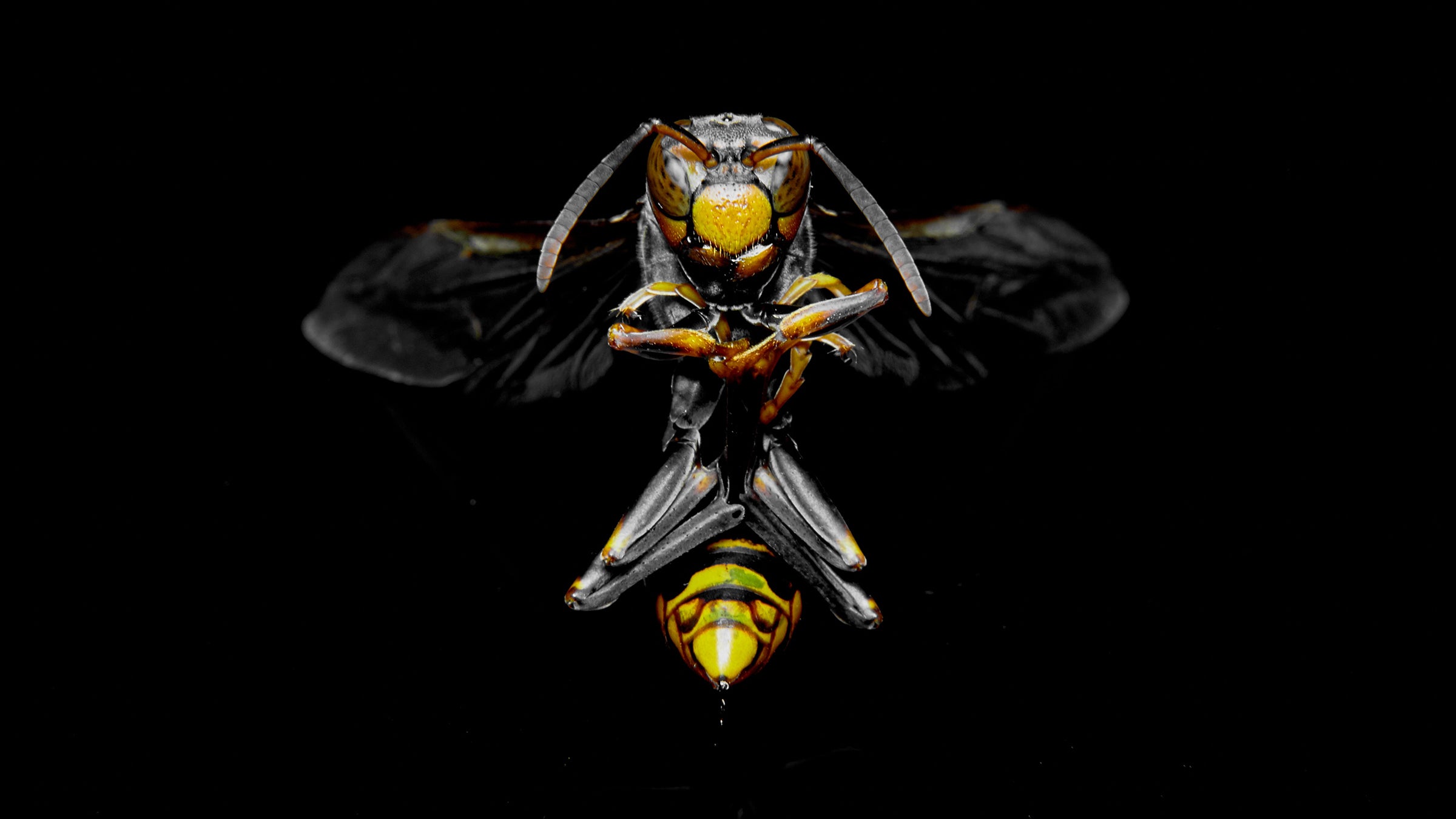 We took Jared Forrester’s results and combined them with stats from a few other sources to give you a look at the numbers.