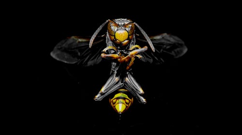 We took Jared Forrester’s results and combined them with stats from a few other sources to give you a look at the numbers.