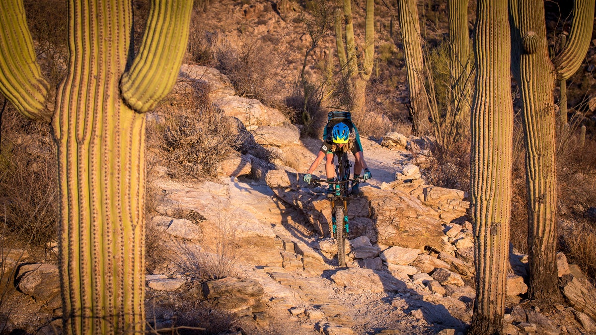 Book Your Winter Riding Trip to Tucson Now