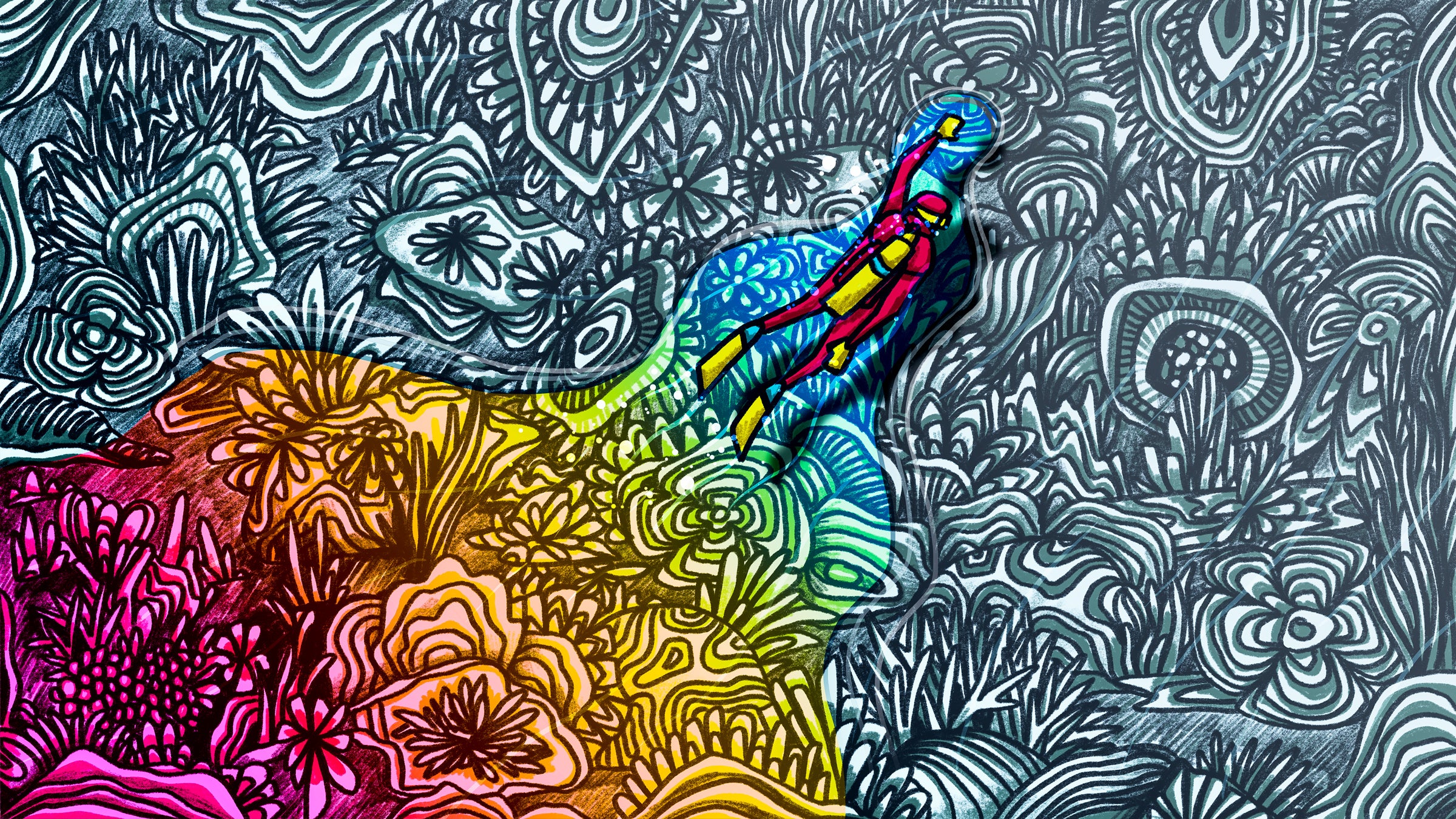 Could cloning coral save Florida Keys reef?