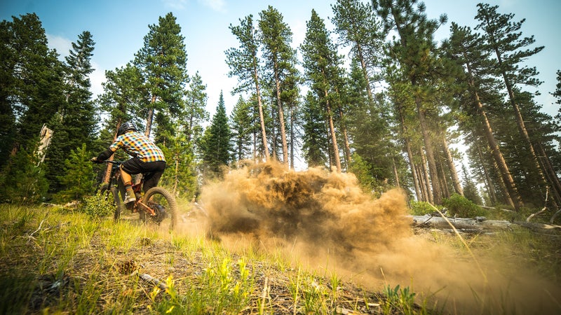 This much roost pedaling uphill? This is not a bicycle.
