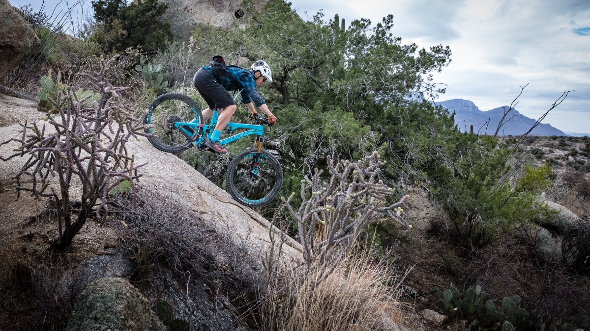 bike radar trail bike of the year