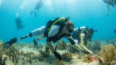 Mote volunteers planted 500 Stagorn Coral on Hope Reef in June 2017.