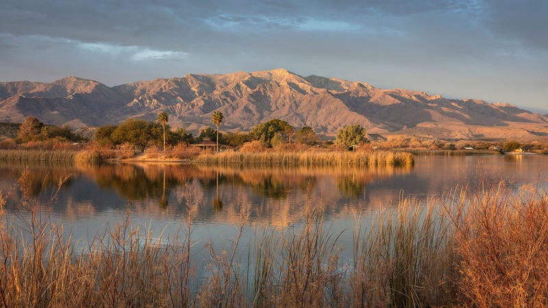A view of Mt. Graham from Roper Lake.