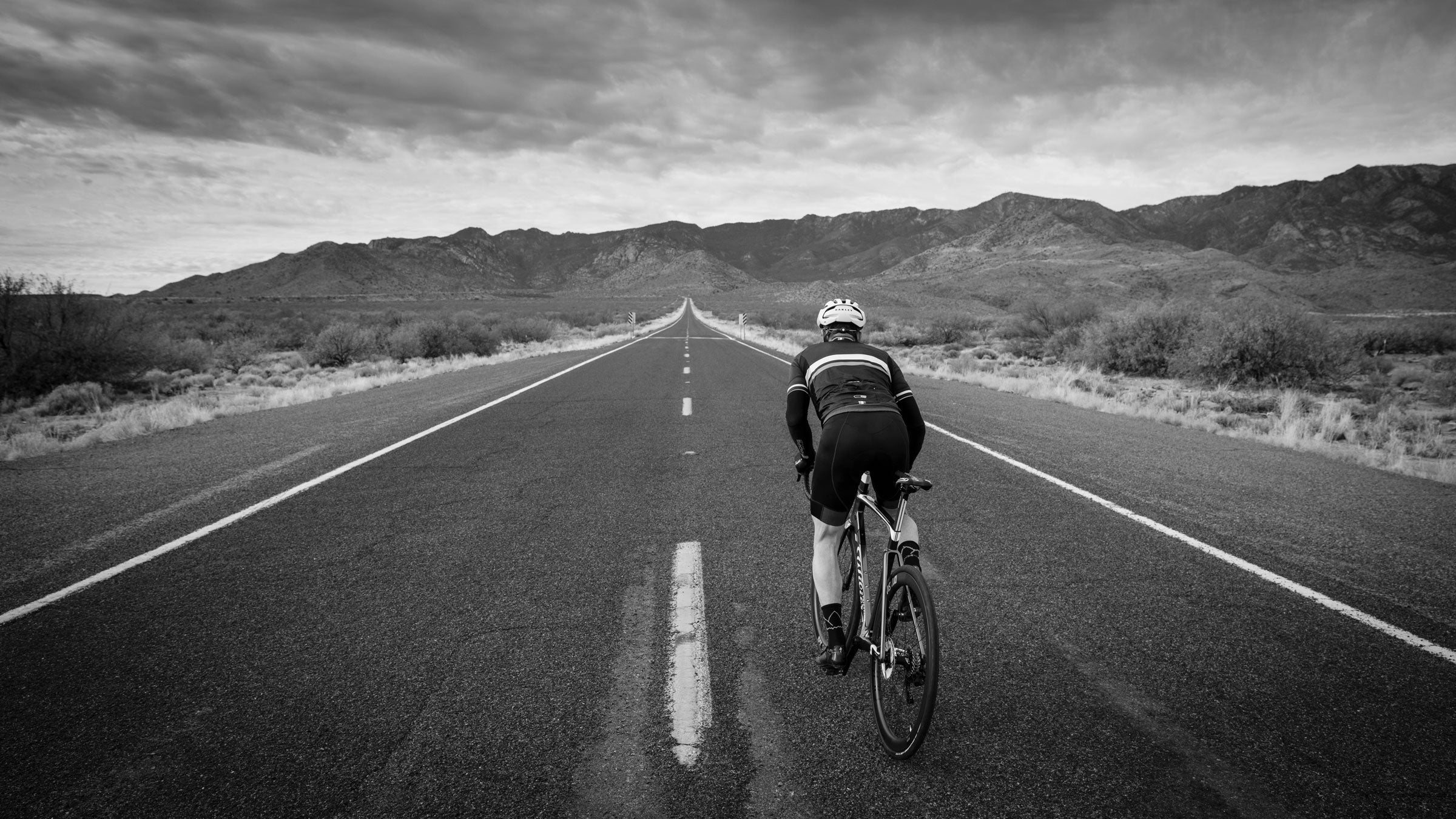 The road bike climb up Mt. Graham rises some 6,000 feet from desert to the high alpine.