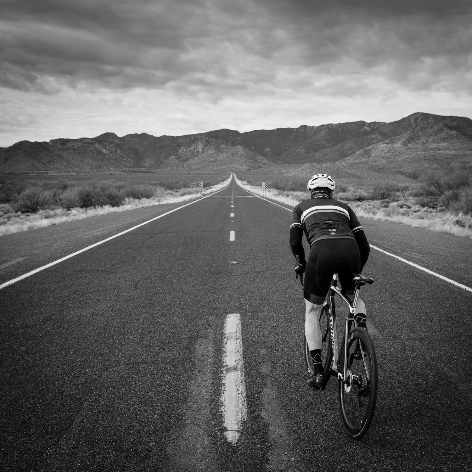 The road bike climb up Mt. Graham rises some 6,000 feet from desert to the high alpine.