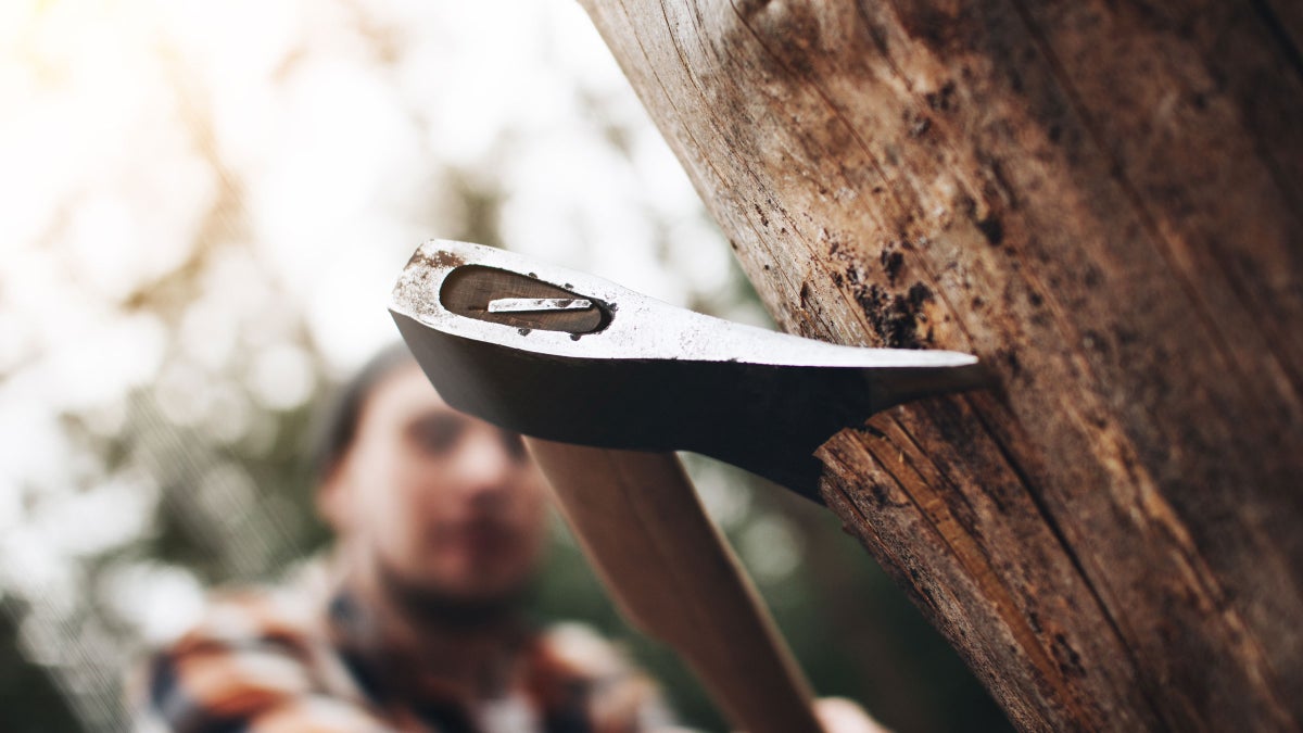 The Essential Guide to Axes