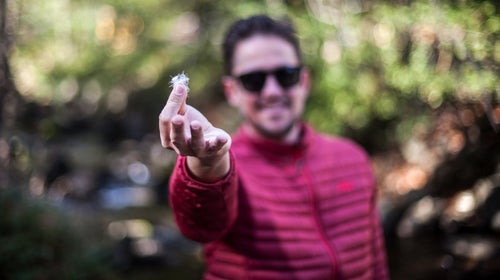 Despite all our technological improvement, down insulation is still the gold standard for outdoor insulation.