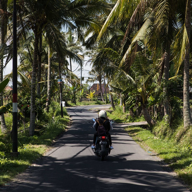 A Bali back road.