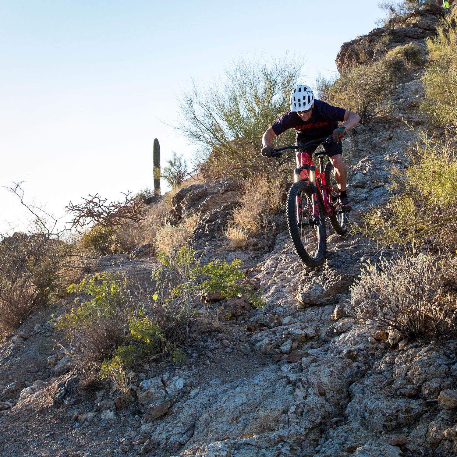 From the nasty, barbed plant life to the serrated rocks that litter the roads and trails, everything in Tucson is out to shred your tires, which makes our dearth of flats even more impressive.