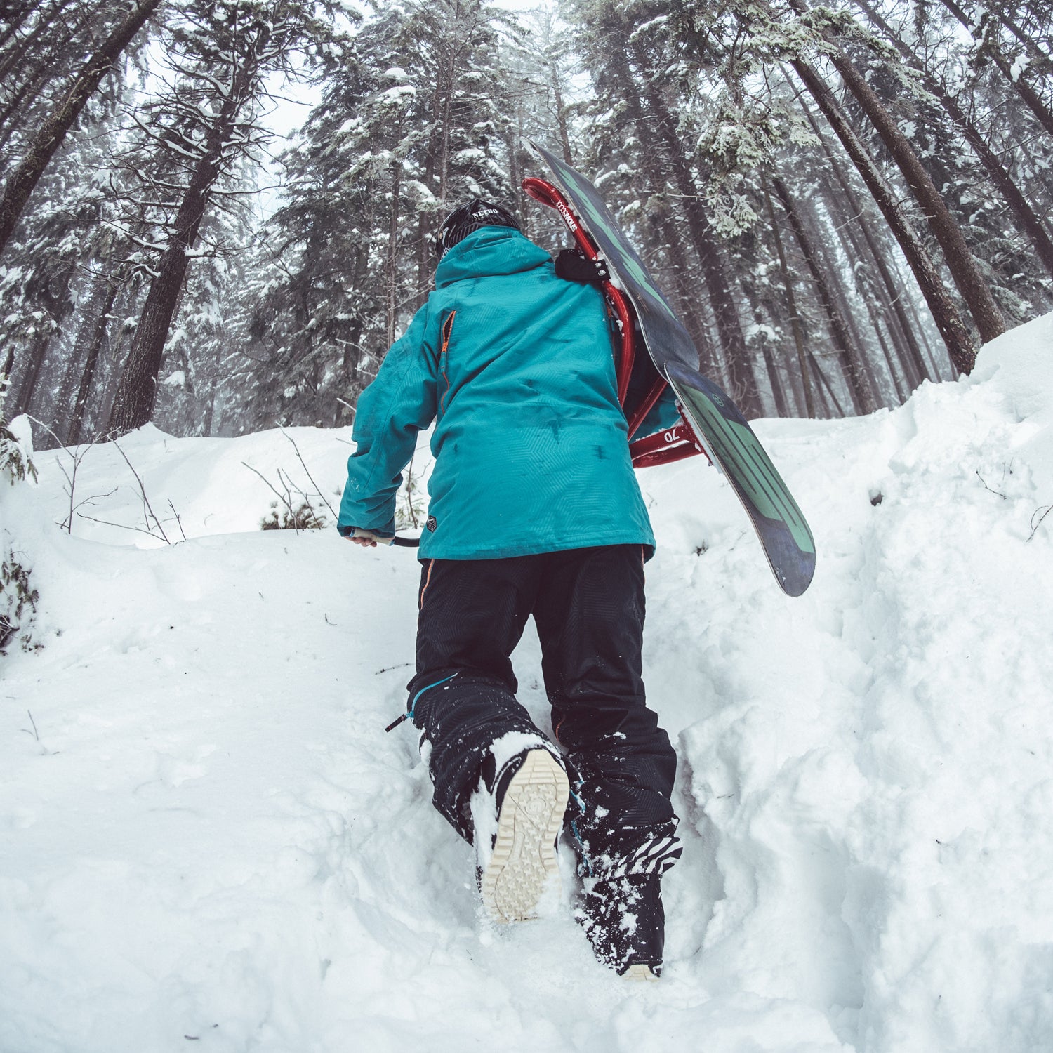 When we weren't chasing the winter's small amount of snow, we were reading and podcasting.