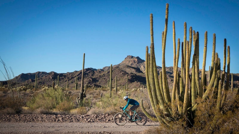 On our last full day in Organ Pipe National Monument, I was feeling well enough that I mustered a 20-mile pedal at slightly faster than walking pace on the closest loop road to the campground.