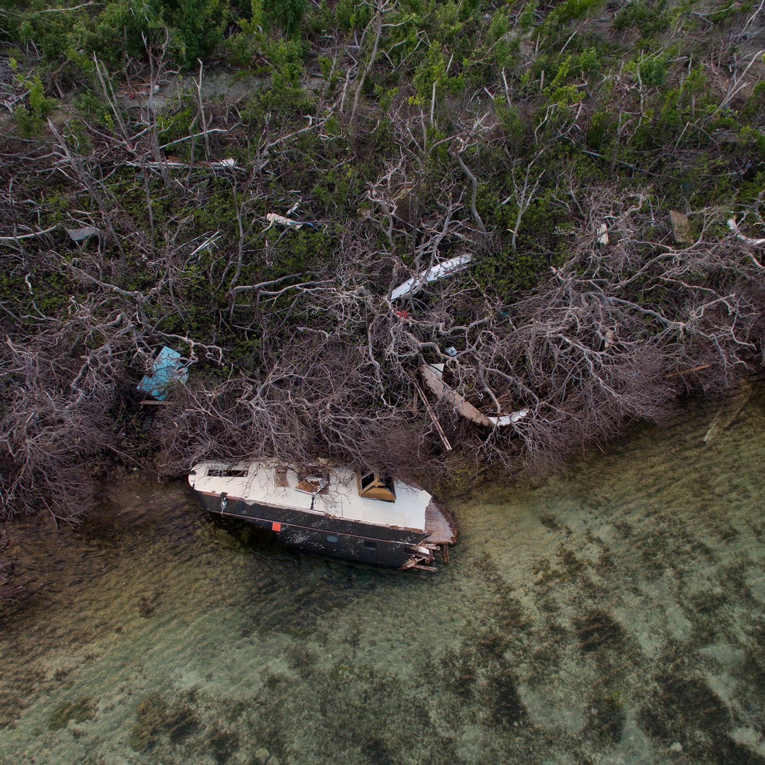 What remains of the charter boat Goddess Athena after Irma