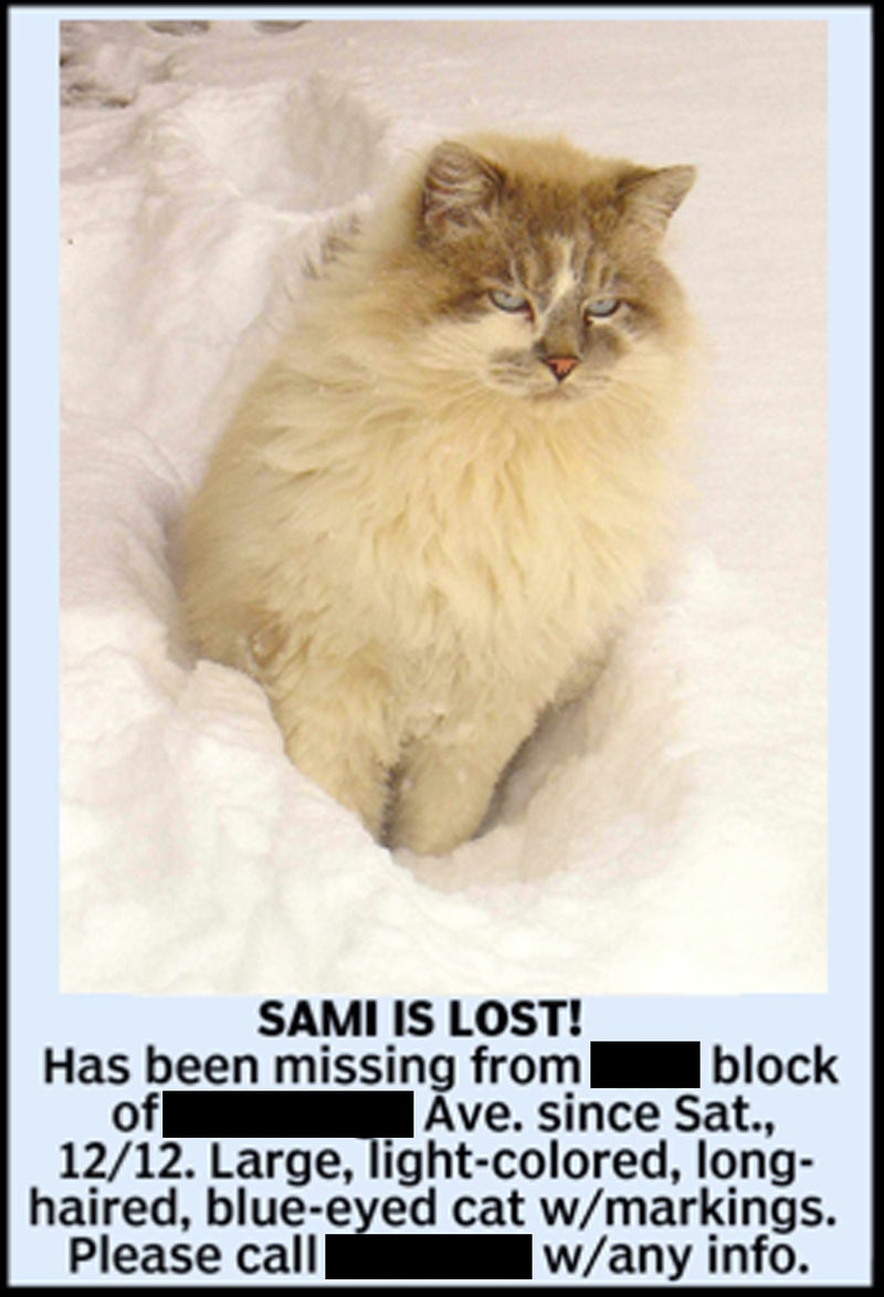 A newspaper ad seeking leads on Sami's whereabouts.