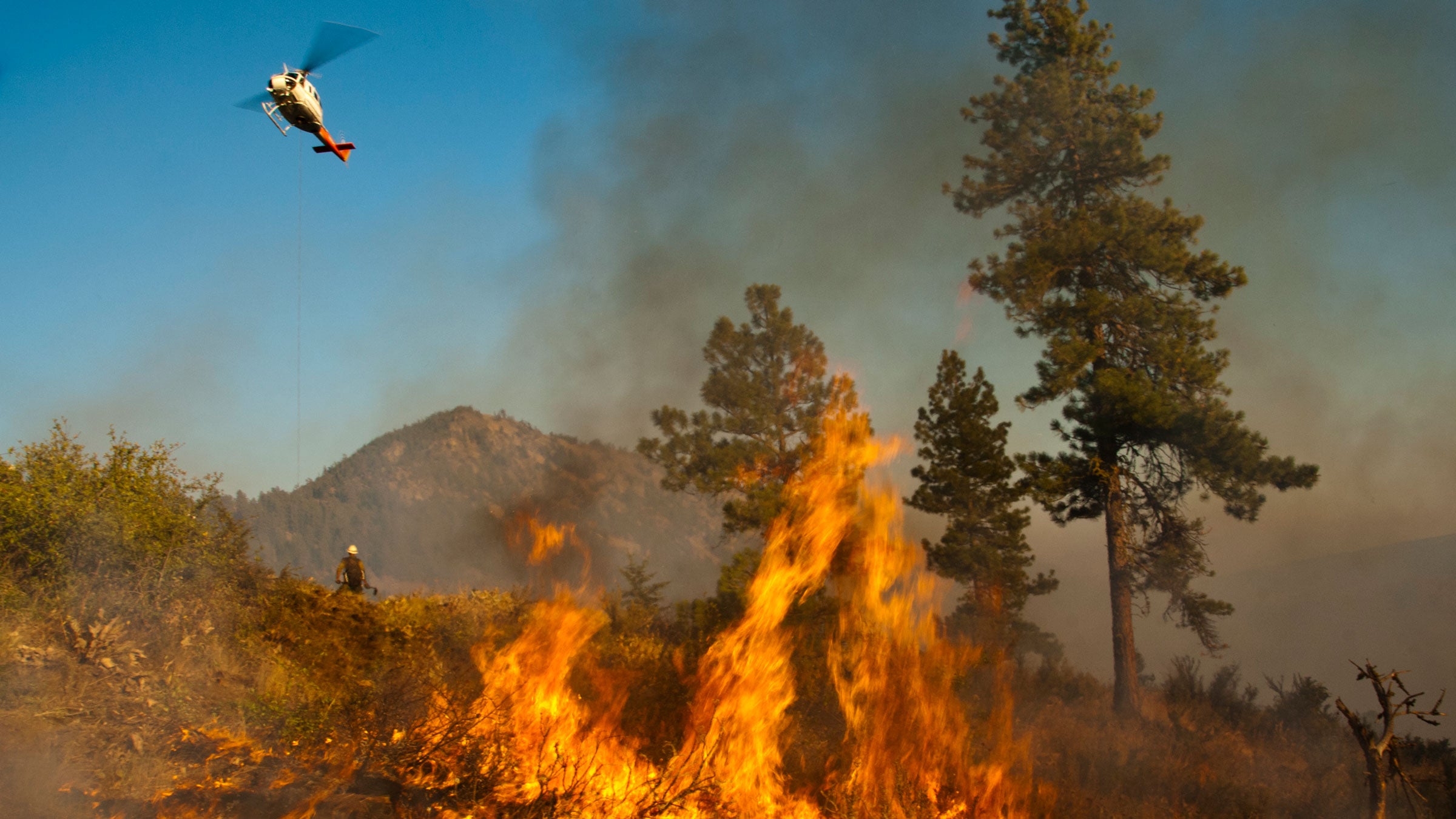 Year by year, Hansen writes, humans—and human-caused global warming—increase the chances of wildfire.