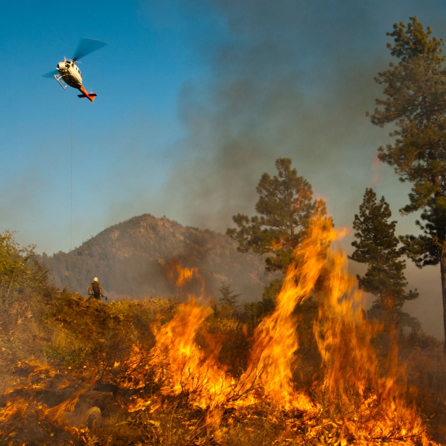 Year by year, Hansen writes, humans—and human-caused global warming—increase the chances of wildfire.