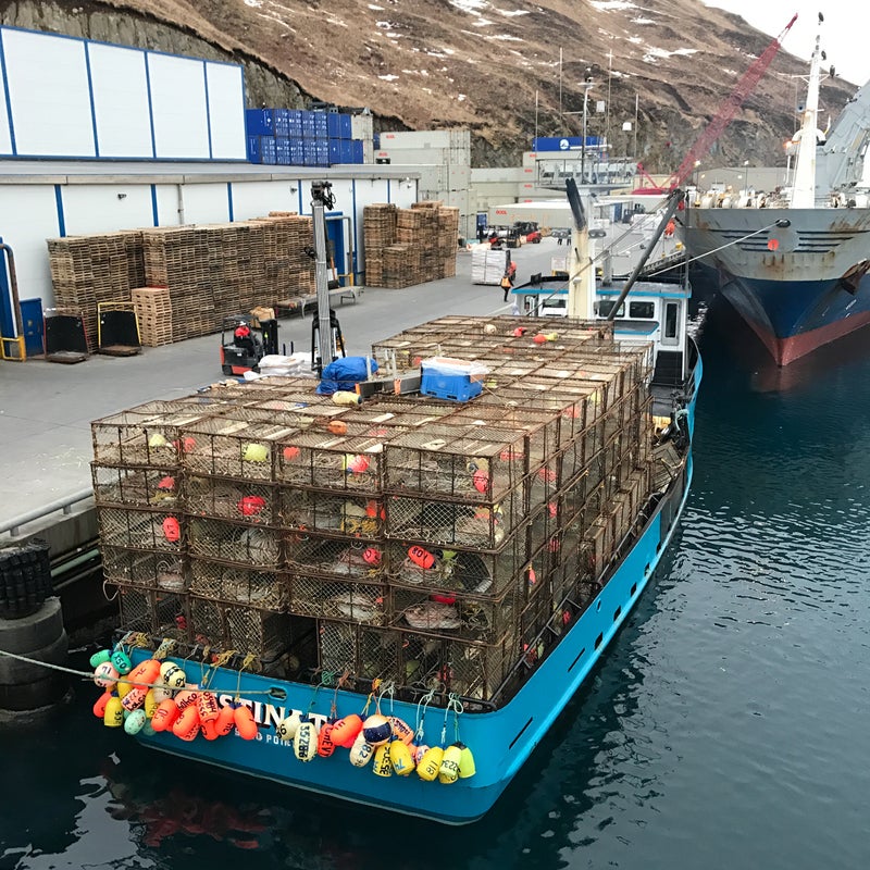 Search continues for Bering Sea fishing vessel missing with 6 aboard -  Anchorage Daily News