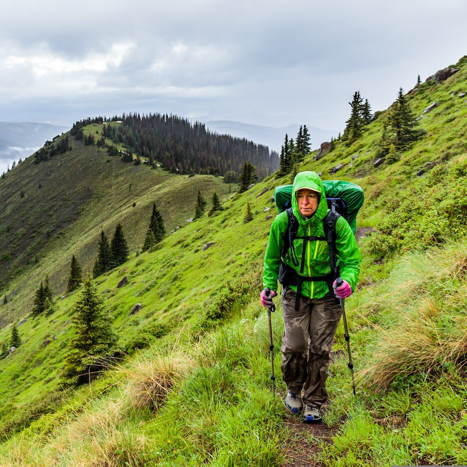 Section Backpacking on the Continental Divide Trail, South San Juan Wilderness, Cumbres to Wolf Creek Pass, Colorado