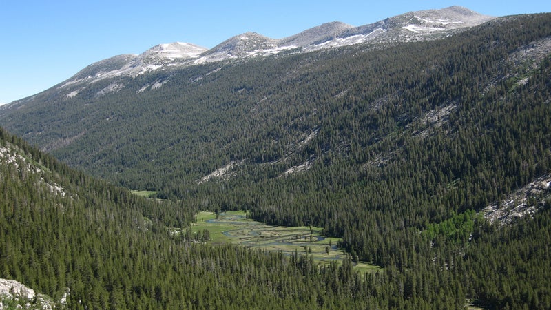 Lyell Canyon, one of four epicenters of bear activity in Yosemite