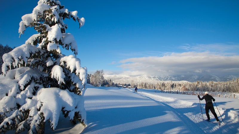 Cross-country skiing in Glacier National Park.