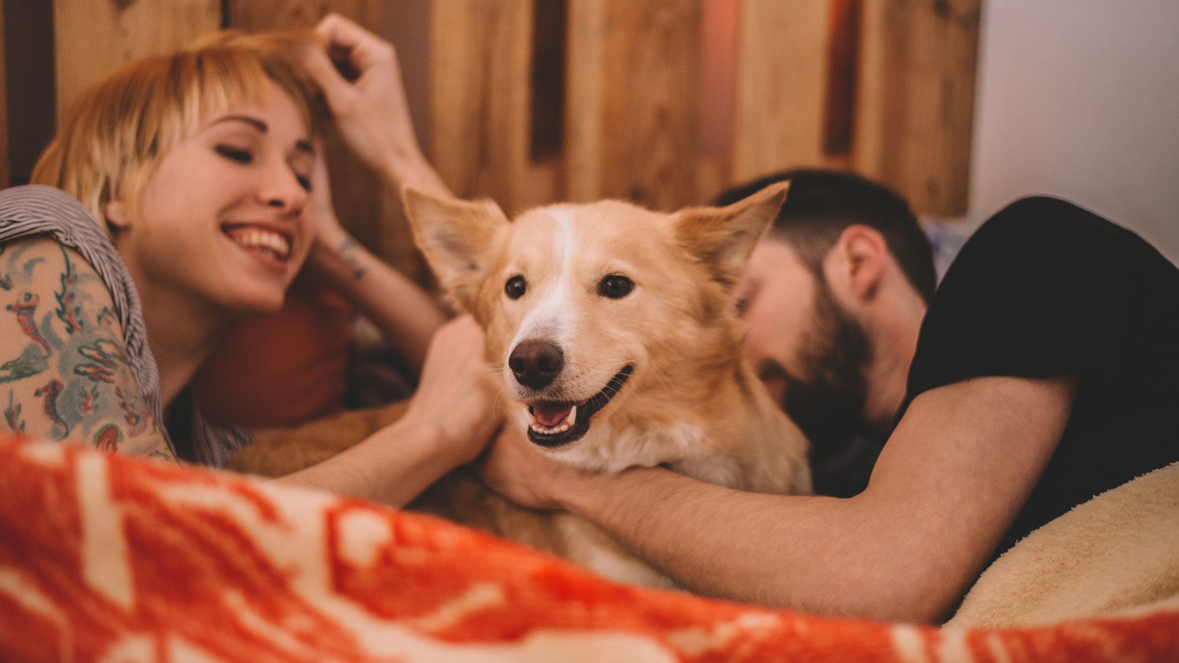 You’ve gotta get those pups out of your bedroom.