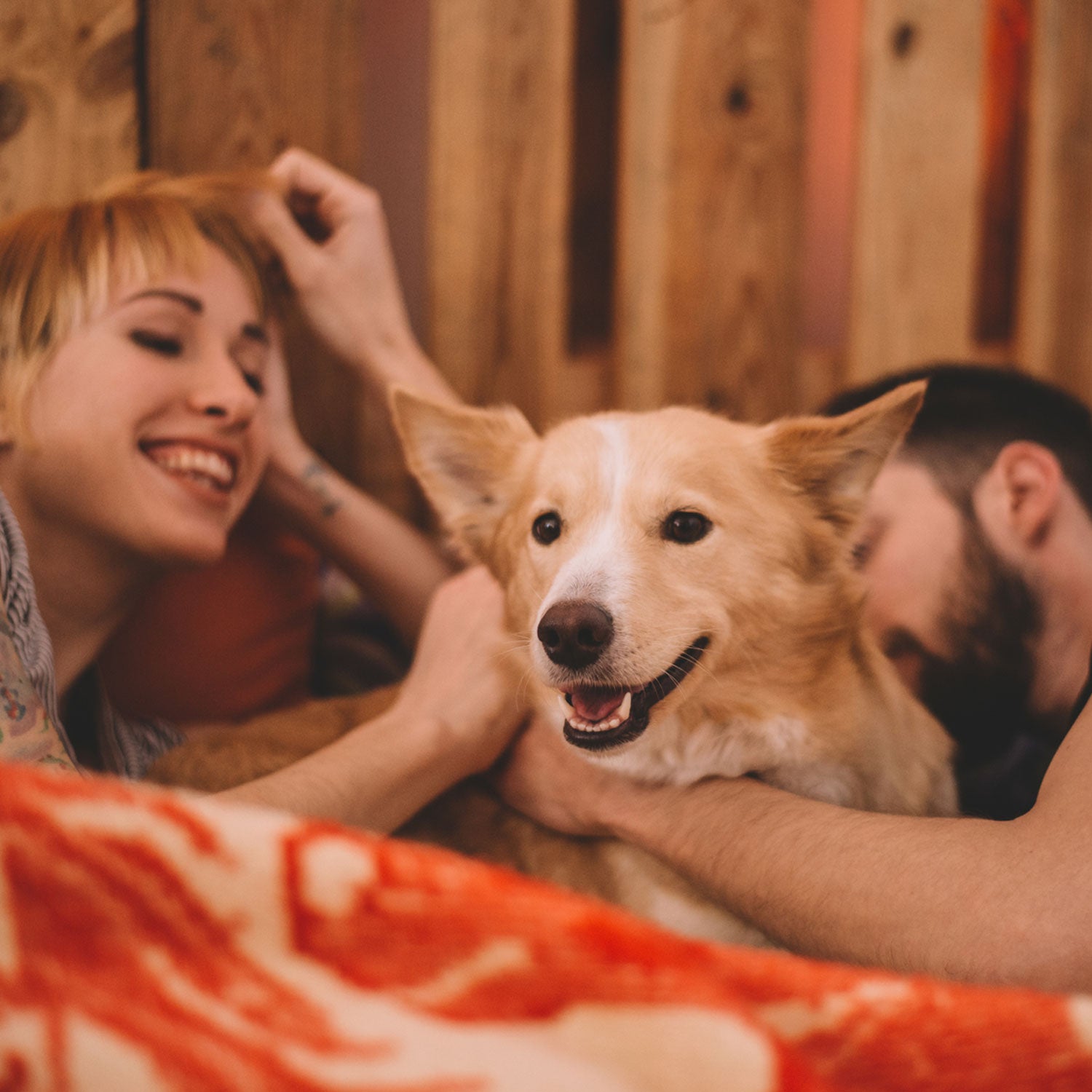 You’ve gotta get those pups out of your bedroom.