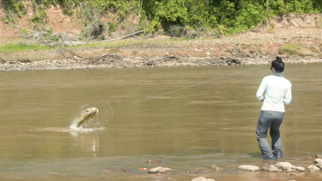 April Vokey Chases A Forgotten Sport Fish