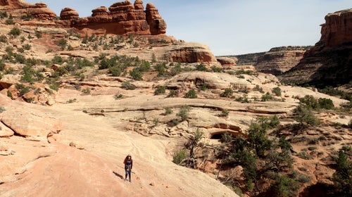 Lower Bullet Canyon, typical southern Utah canyon country, with vertical walls and lots of slickrock