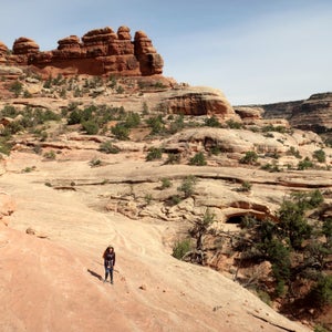 Lower Bullet Canyon, typical southern Utah canyon country, with vertical walls and lots of slickrock.