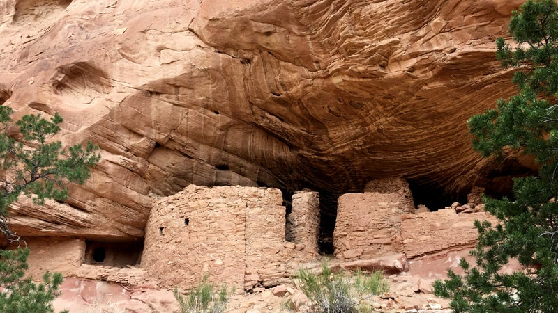 Unnamed ruins in a deep alcove in Grand Gulch, between Bullet and Sheiks Canyons.