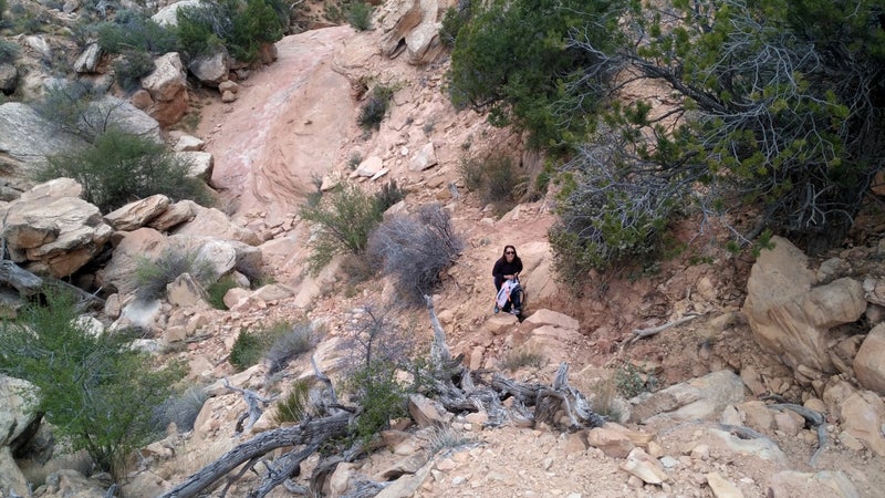 None of the use trails are maintained and some are quite rugged. Sheiks Canyon had several steep pitches up crumbly slopes of hardened mud.