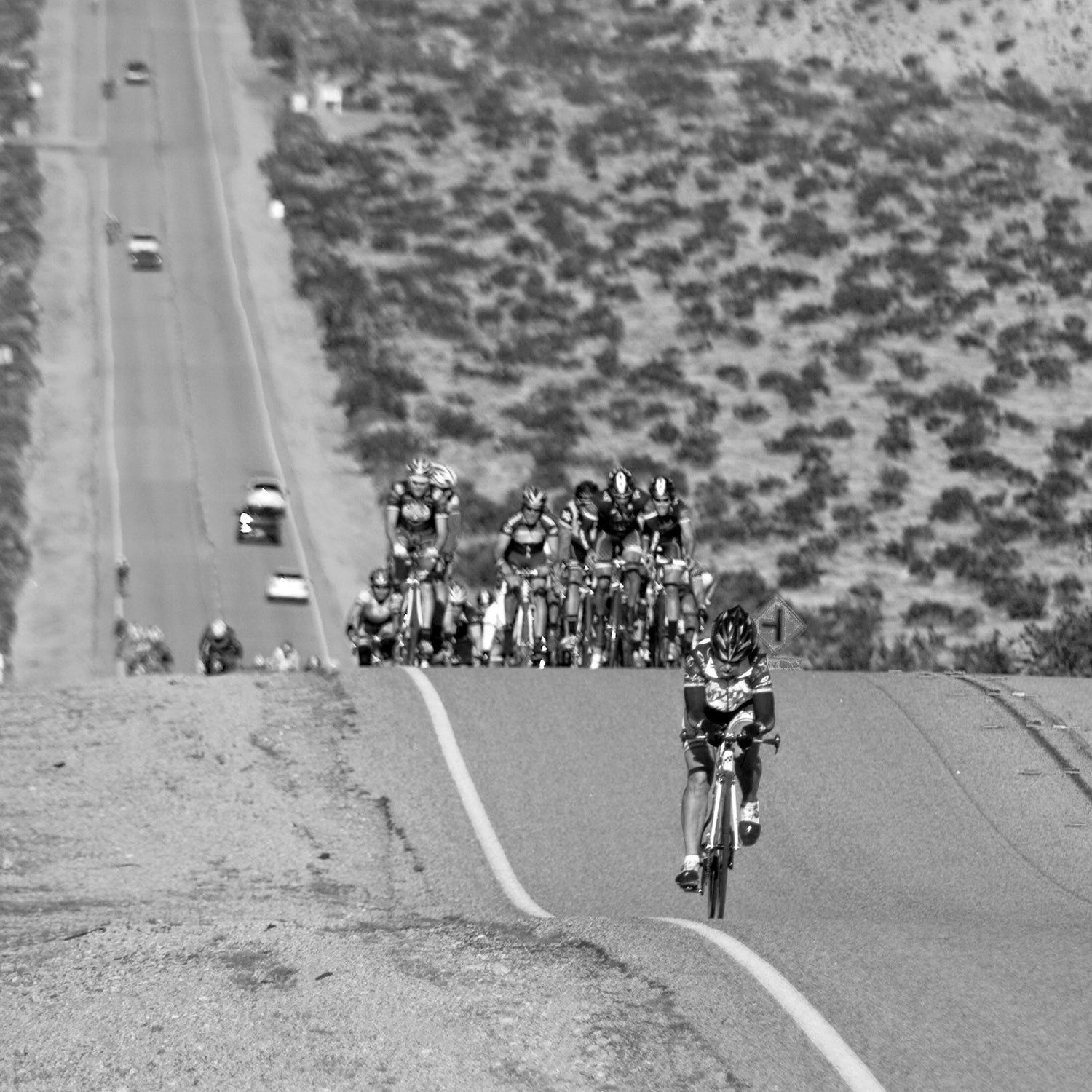 The Tour de Palm Springs is an annual century ride that attracts thousands of cyclists.