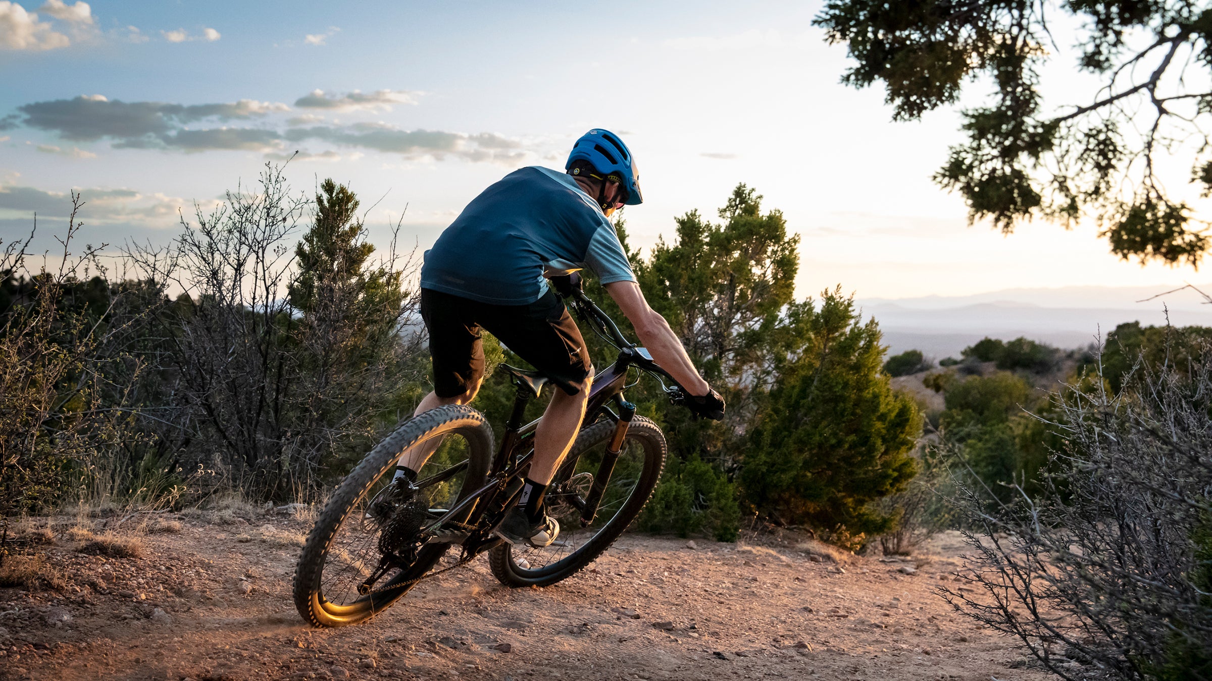 Stumpy mtb clearance