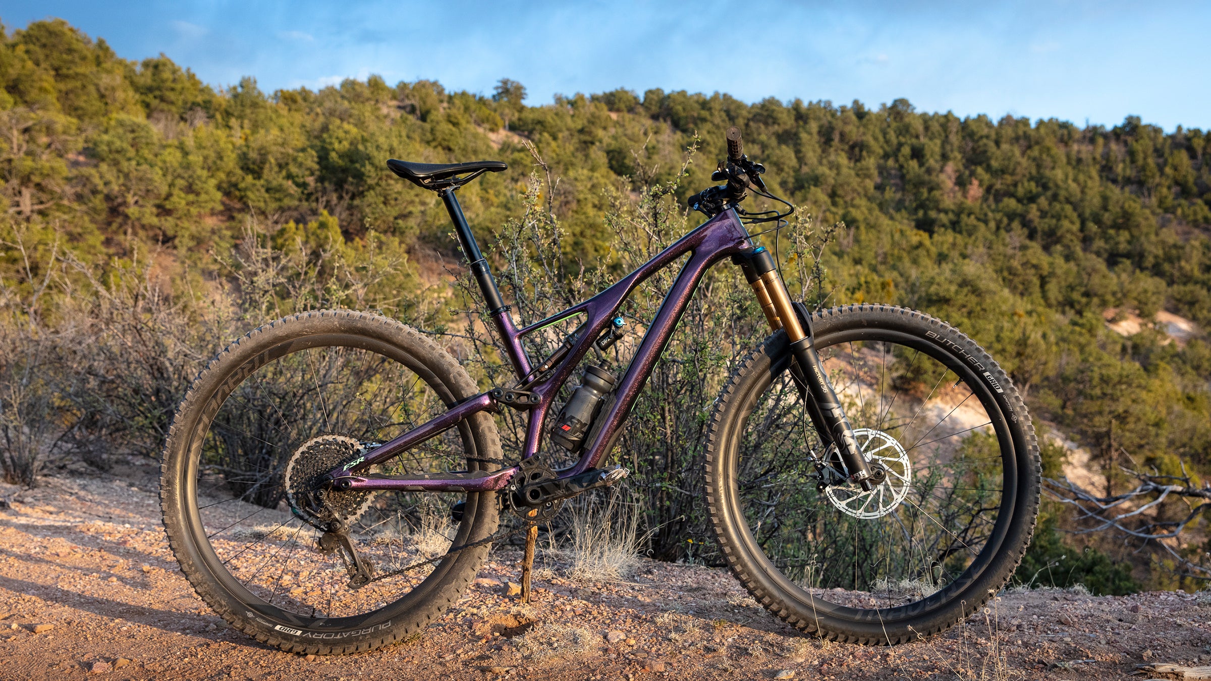 Purple stumpjumper hot sale