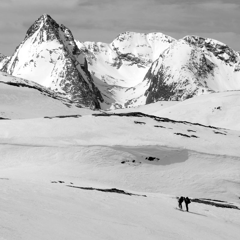 Pausing in front of the Grenadiers subrange.